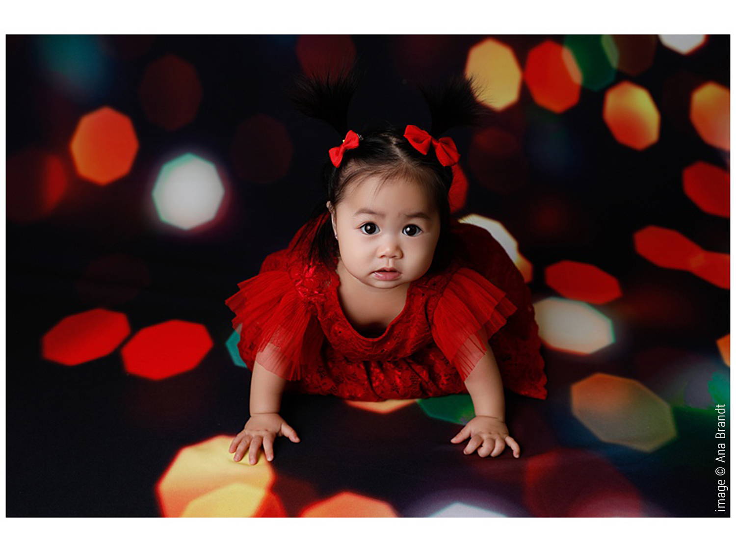 Christmas Twinkle - Photography Backdrop by Intuition Backgrounds