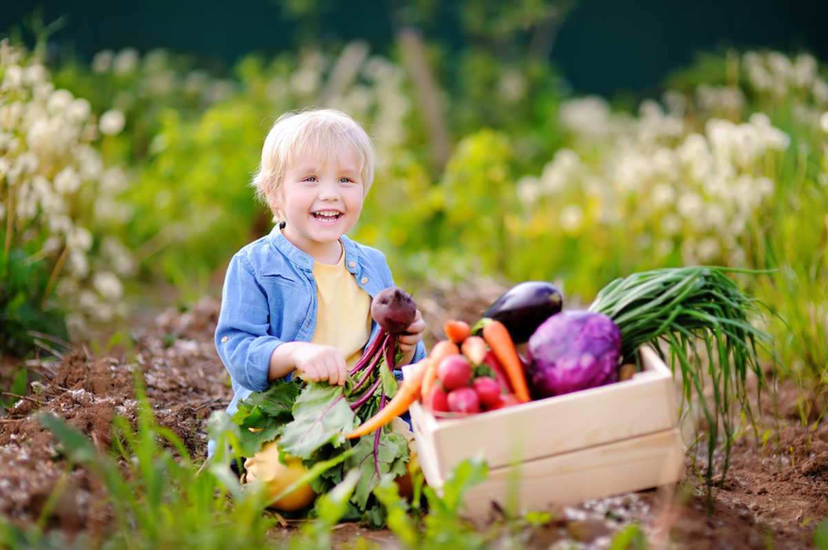 what is a whole food vitamin