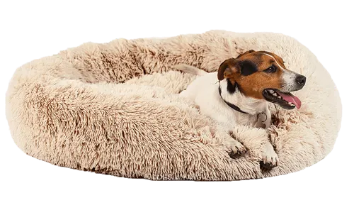 dog landing calming bed