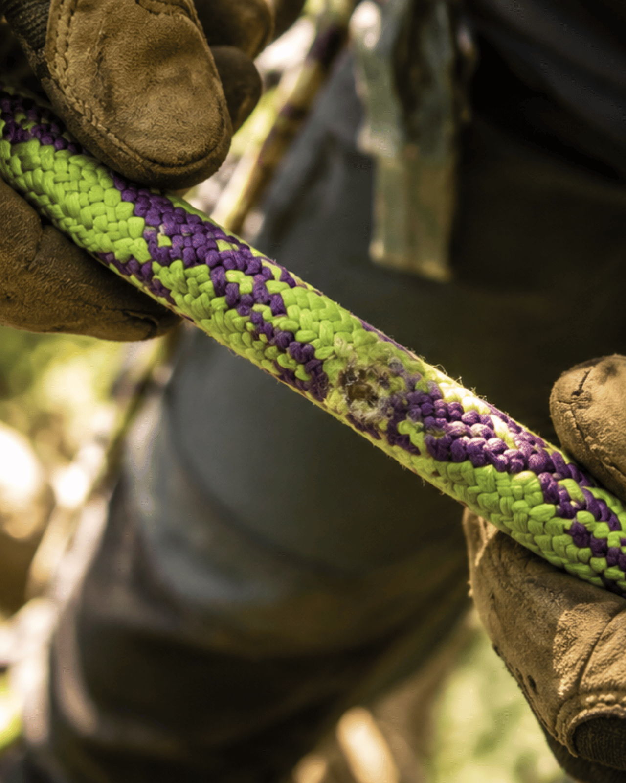 Person holding a green and purple climbing rope with gloves.