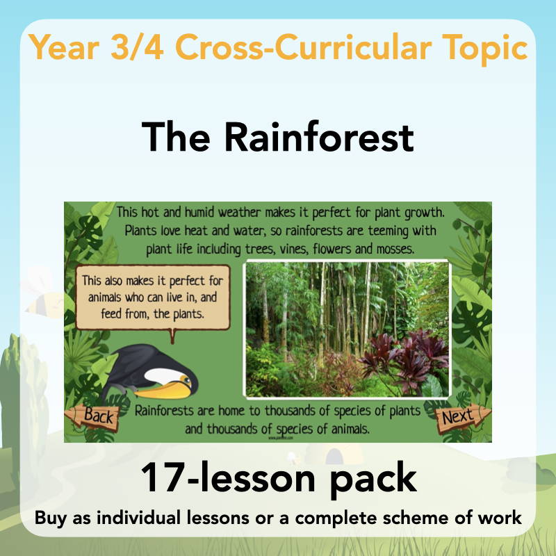 Year 3/4 The Rainforest Topic