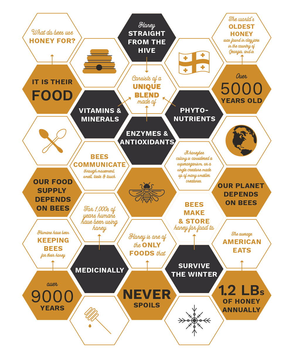 Infographic on honey