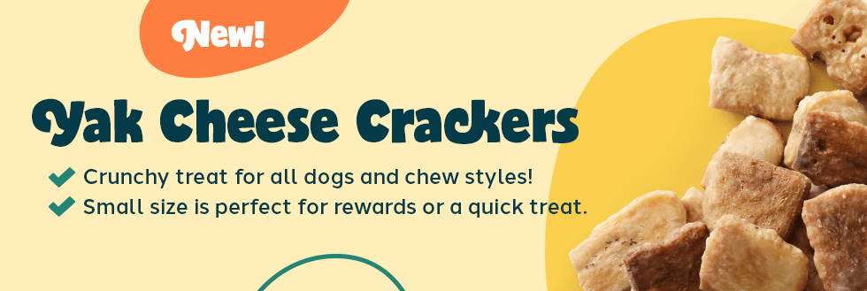 Photo of Yak Cheese Crackers against a colorful background. Text: New! Yak Cheese Crackers. Crunchy treat for all dogs and chew styles! Small size is perfect for rewards or a quick treat.