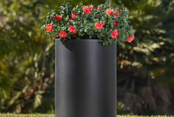 Black planter with vibrant red flowers, set against a blurred green background.