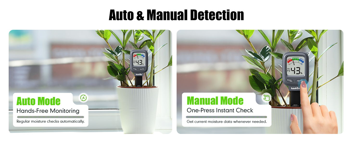Image comparing auto and manual modes for plant monitoring device.