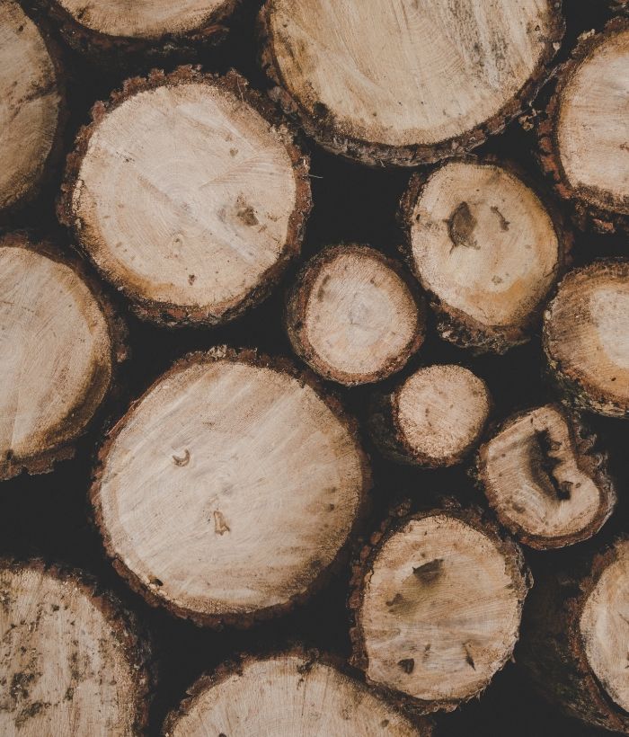 Close-up of various cut tree logs arranged in a circular pattern.