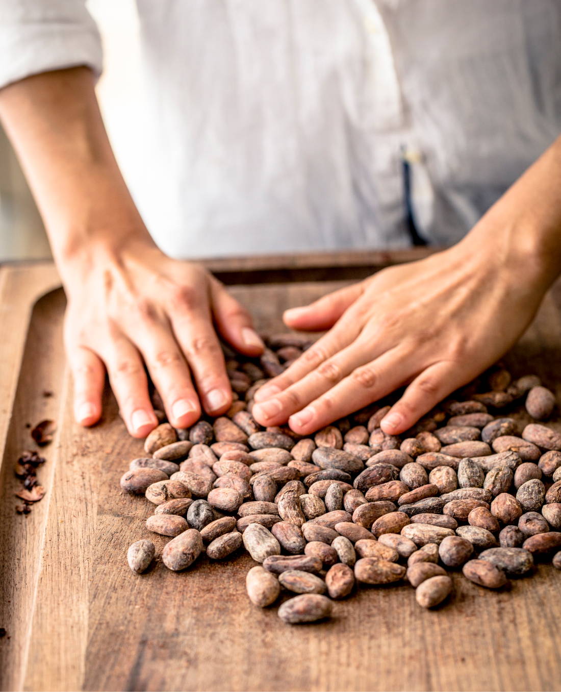 Hands on cococa beans