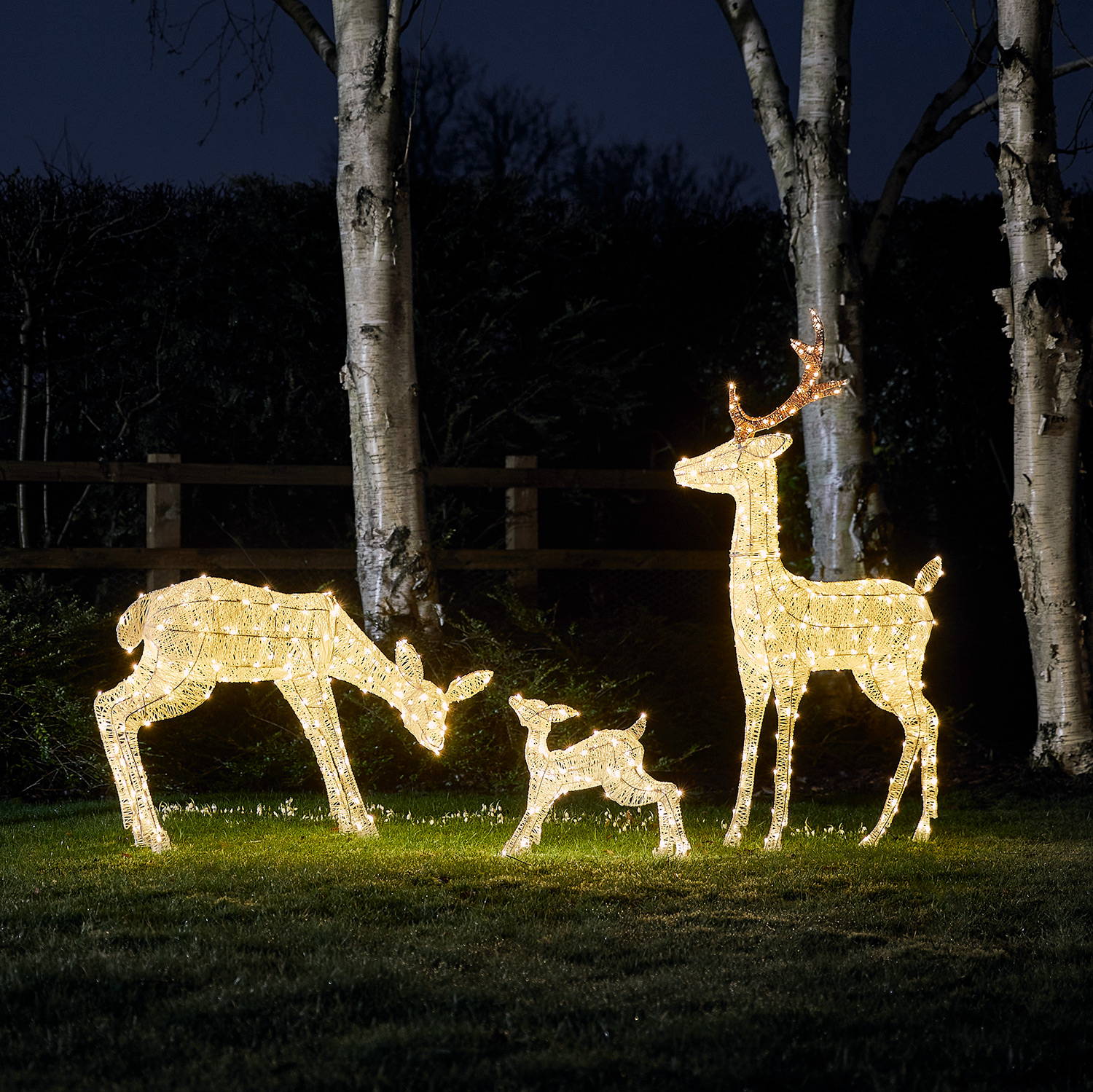  Famille de Rennes de Noël Lumineux Harewood Blancs