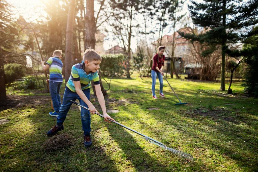 cleaning back yard
