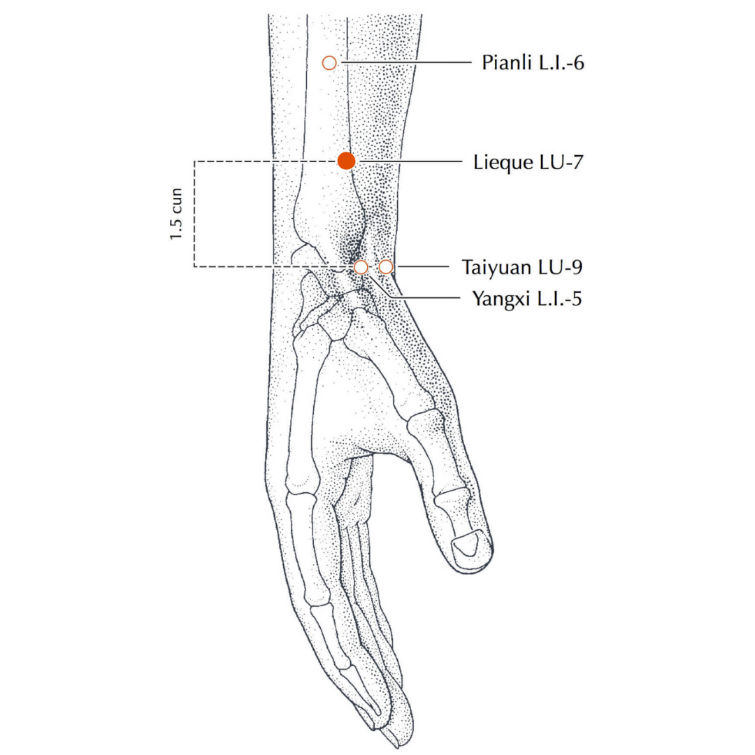 Lu7 acupuncture point