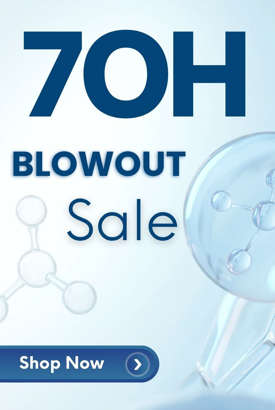 70H Blowout Sale with a shopping button.