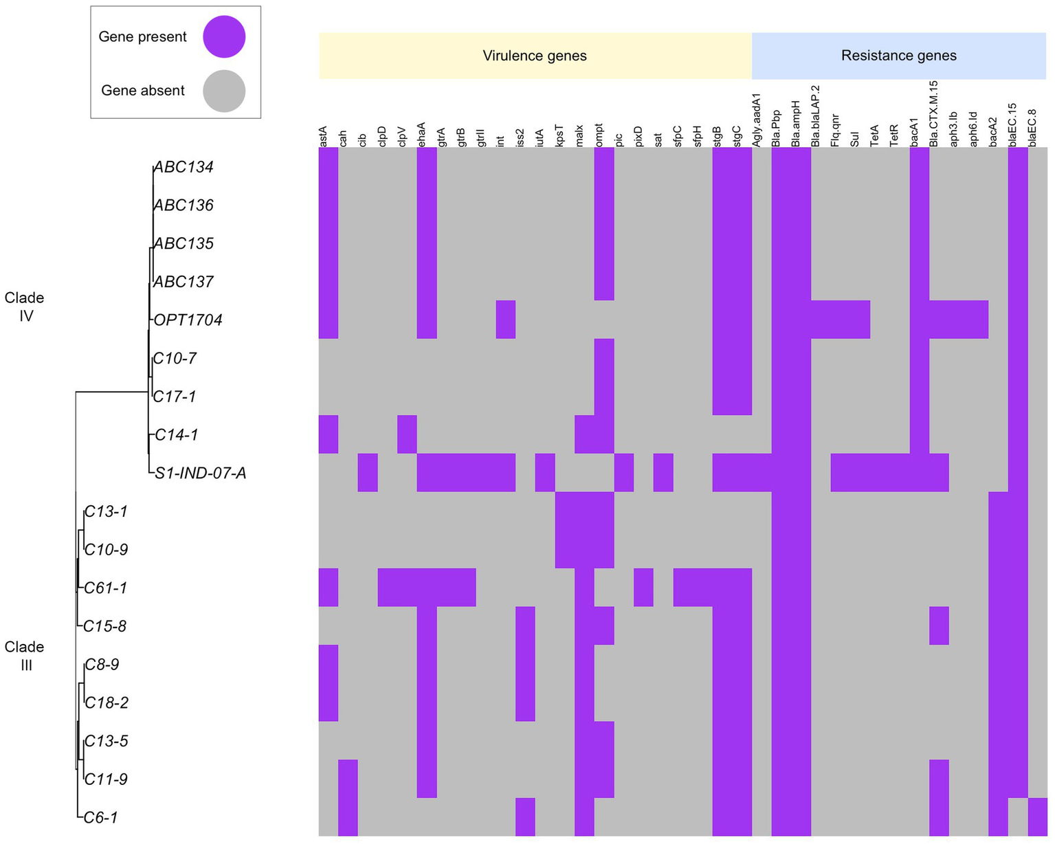 Heatmap illustrating gene expression data across various samples.