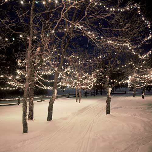 Winter Themed Lights