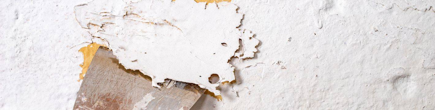 Removing old paint Dumond Chemicals - The Paint People