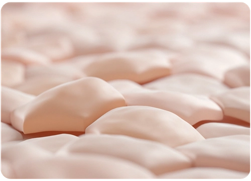 Tightness_ Hyaluronic acid synthesis.