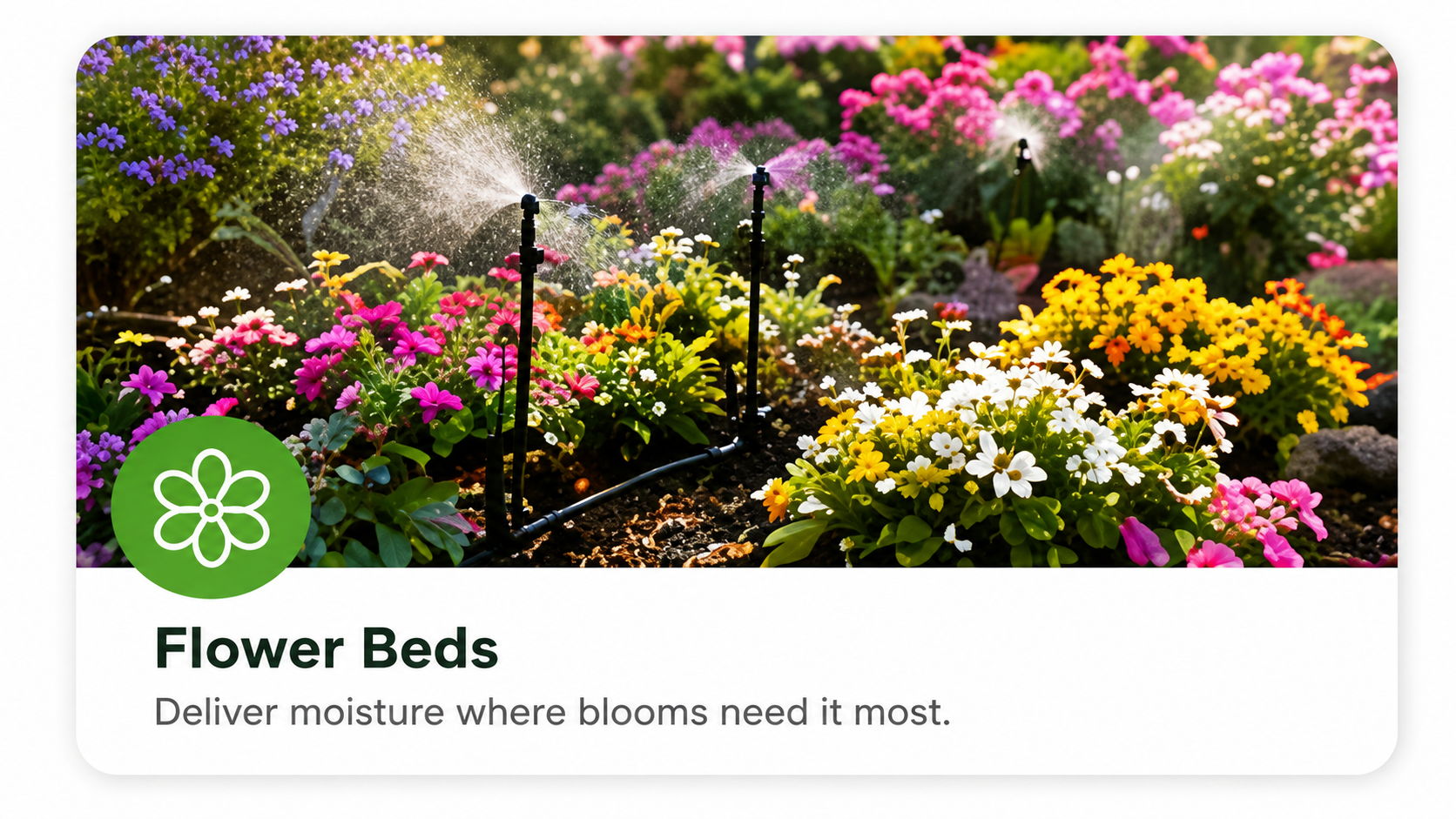 Colorful flower beds with irrigation providing moisture to blooming plants.