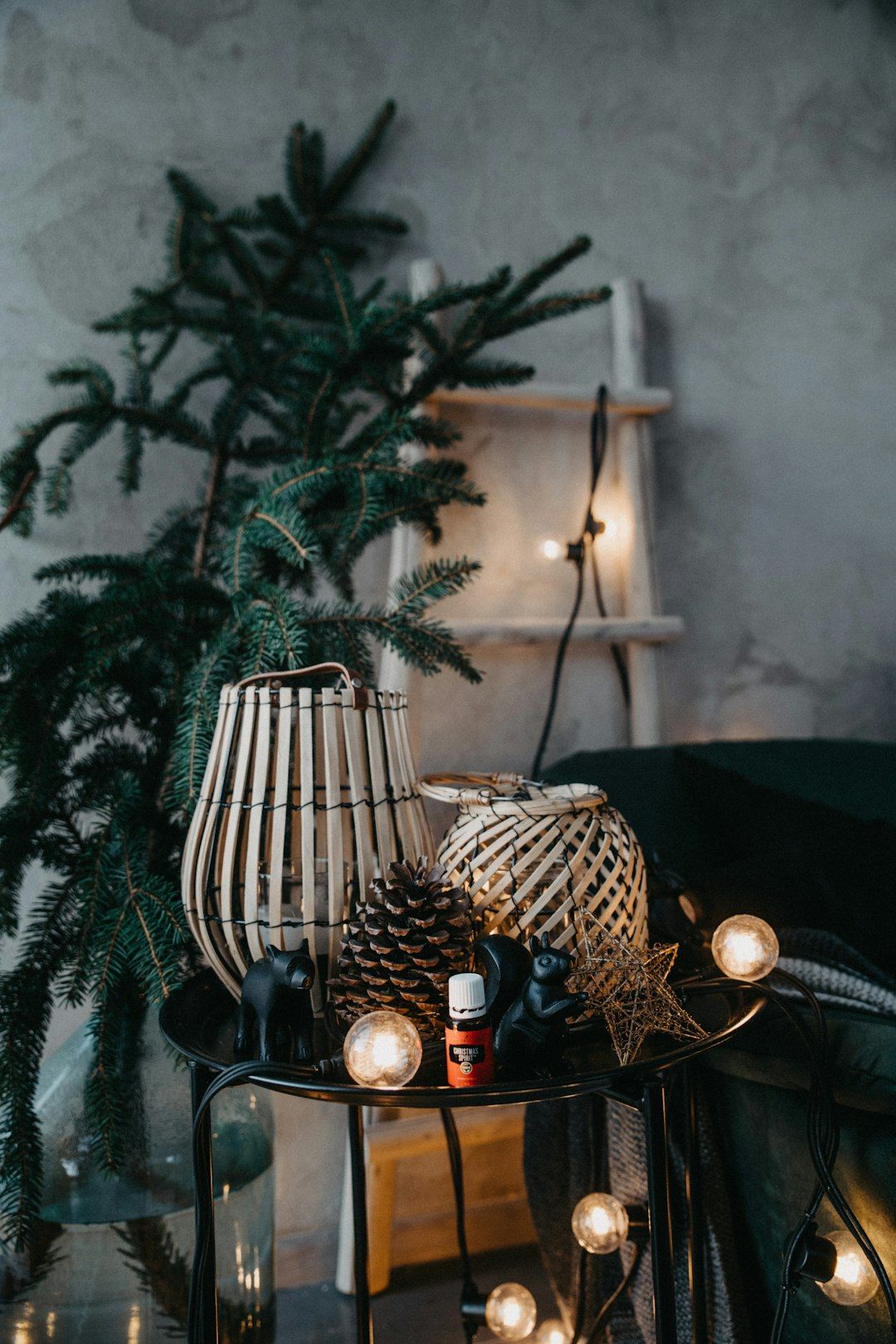 a table with a lamp and a plant on it