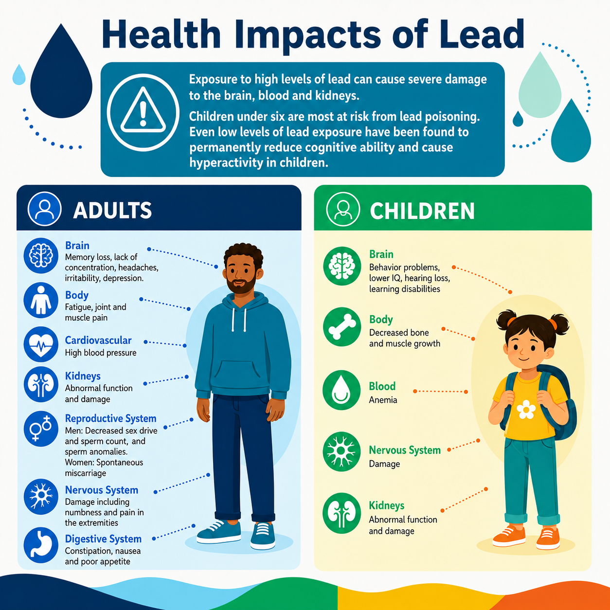 Infographic on health impacts of lead exposure for adults and children.