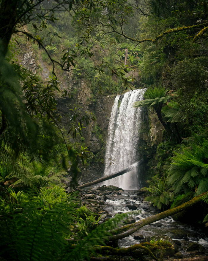 Hopetoun Falls, Beech Forest, Hopetoun Waterfalls Victoria