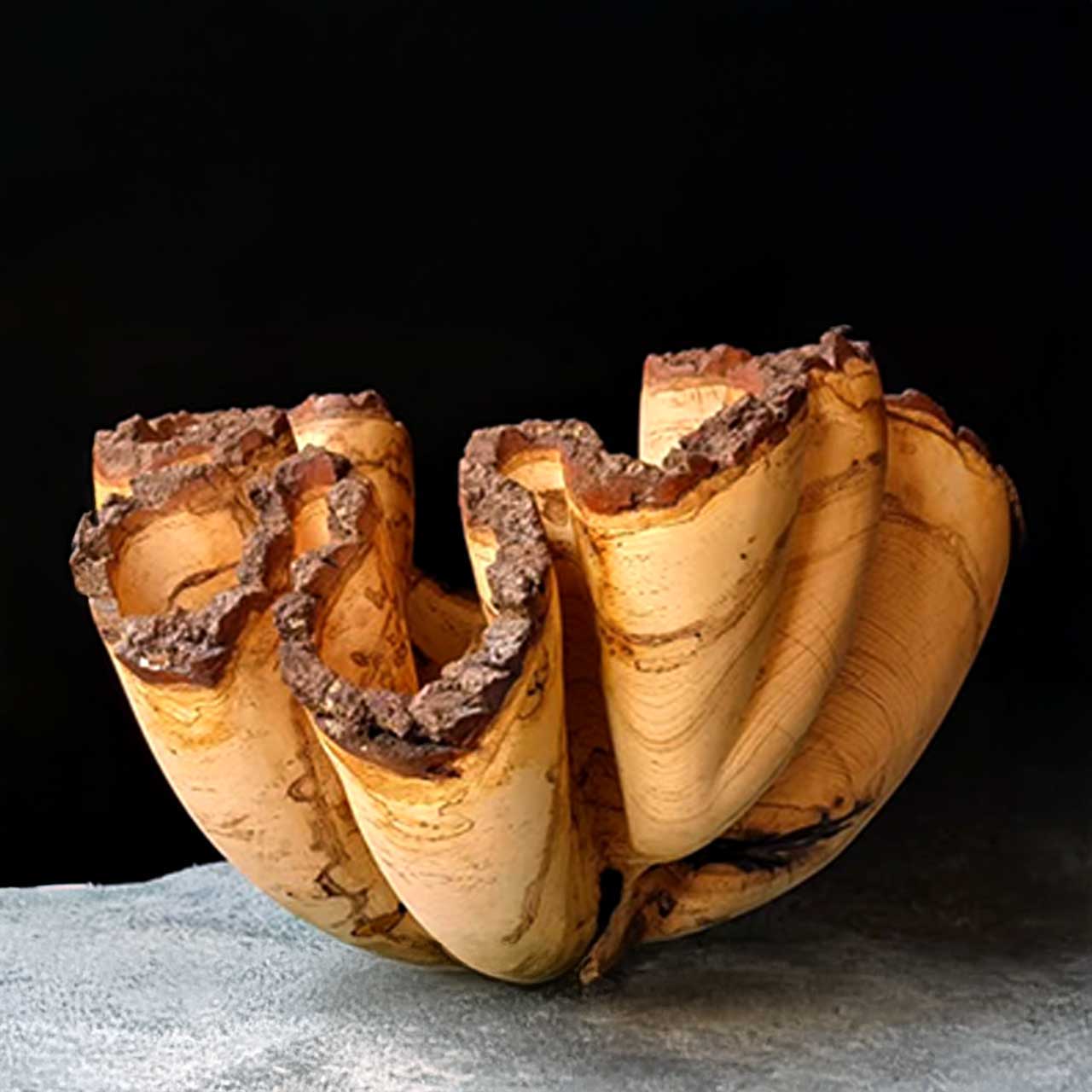 Artistic sculpture resembling a curled piece of wood against a dark background.