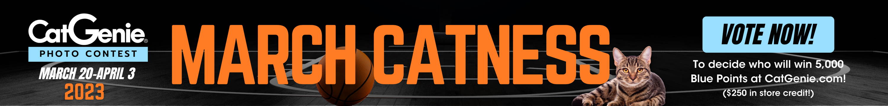 A banner to vote in our March Catness competition