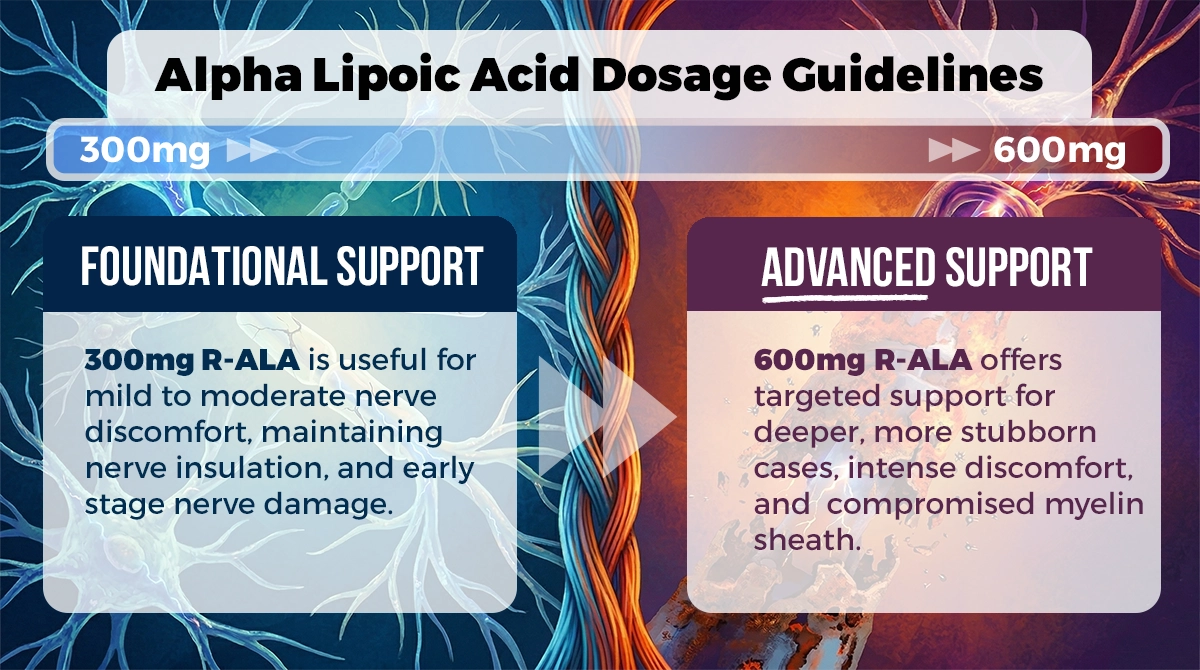 Alpha Lipoic Acid dosage guidelines for foundational and advanced support.
