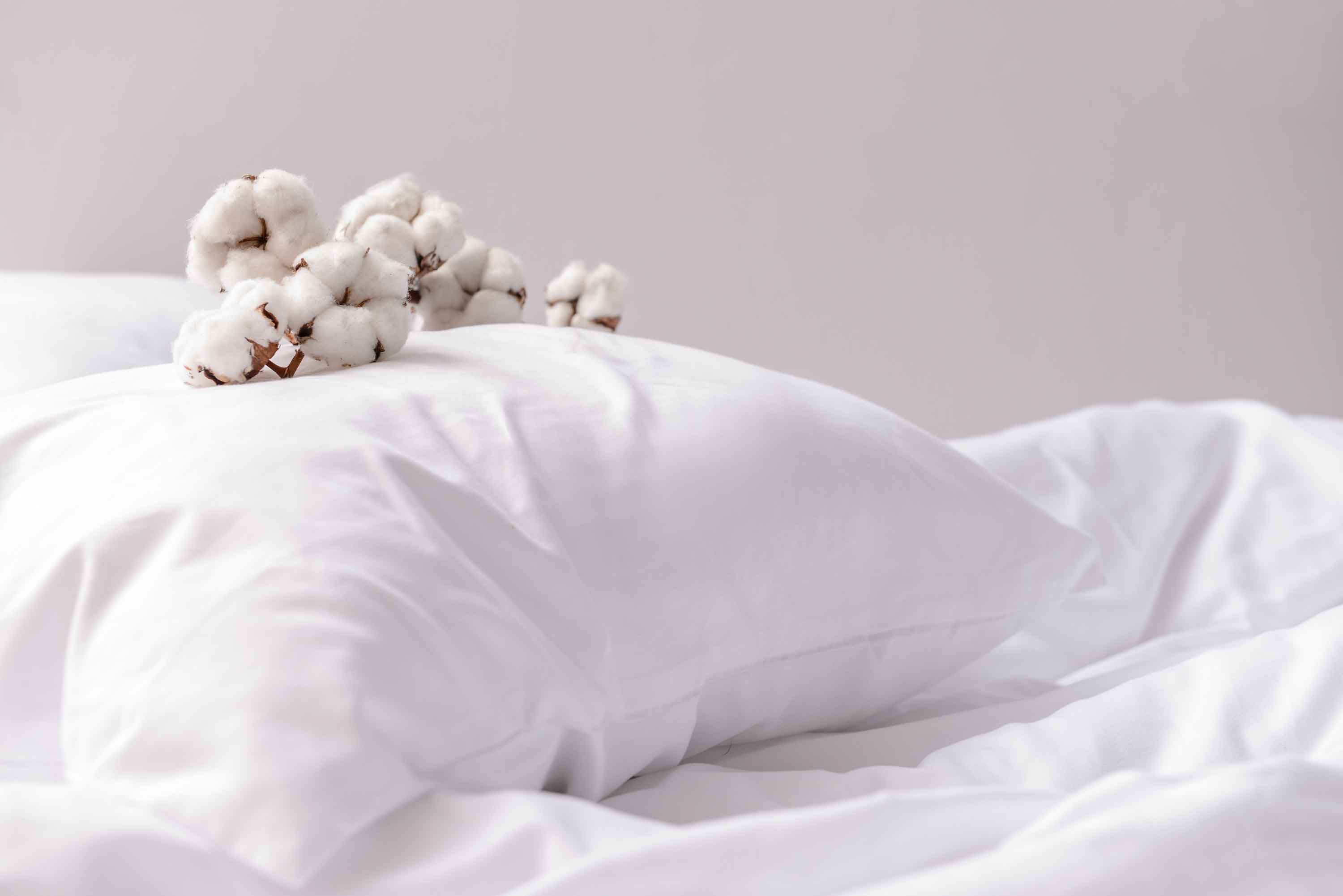What Are The 6 Most Common Types Of Pillows?