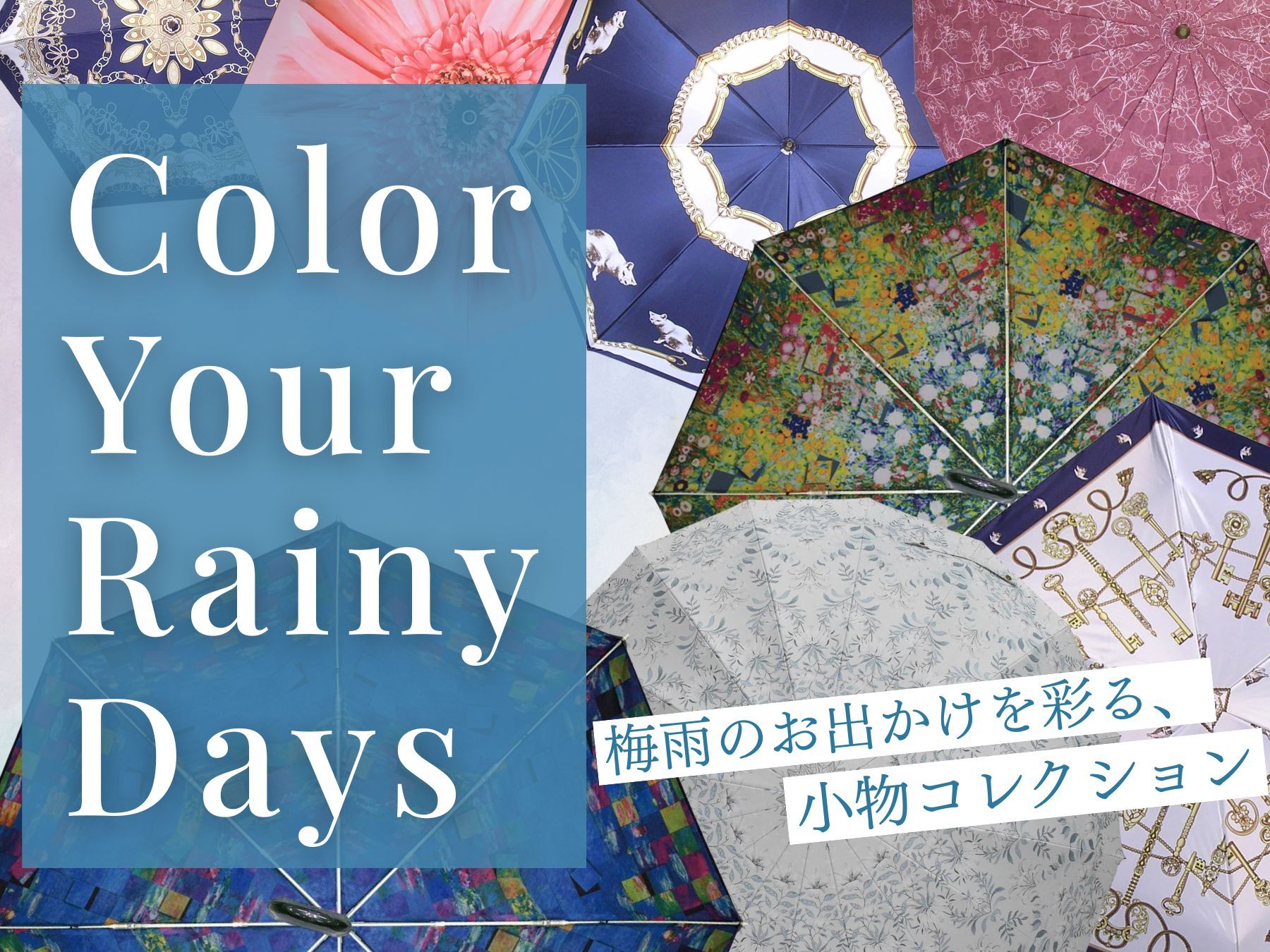 Color Your Rainy Days 梅雨のお出かけを彩る、小物コレクション