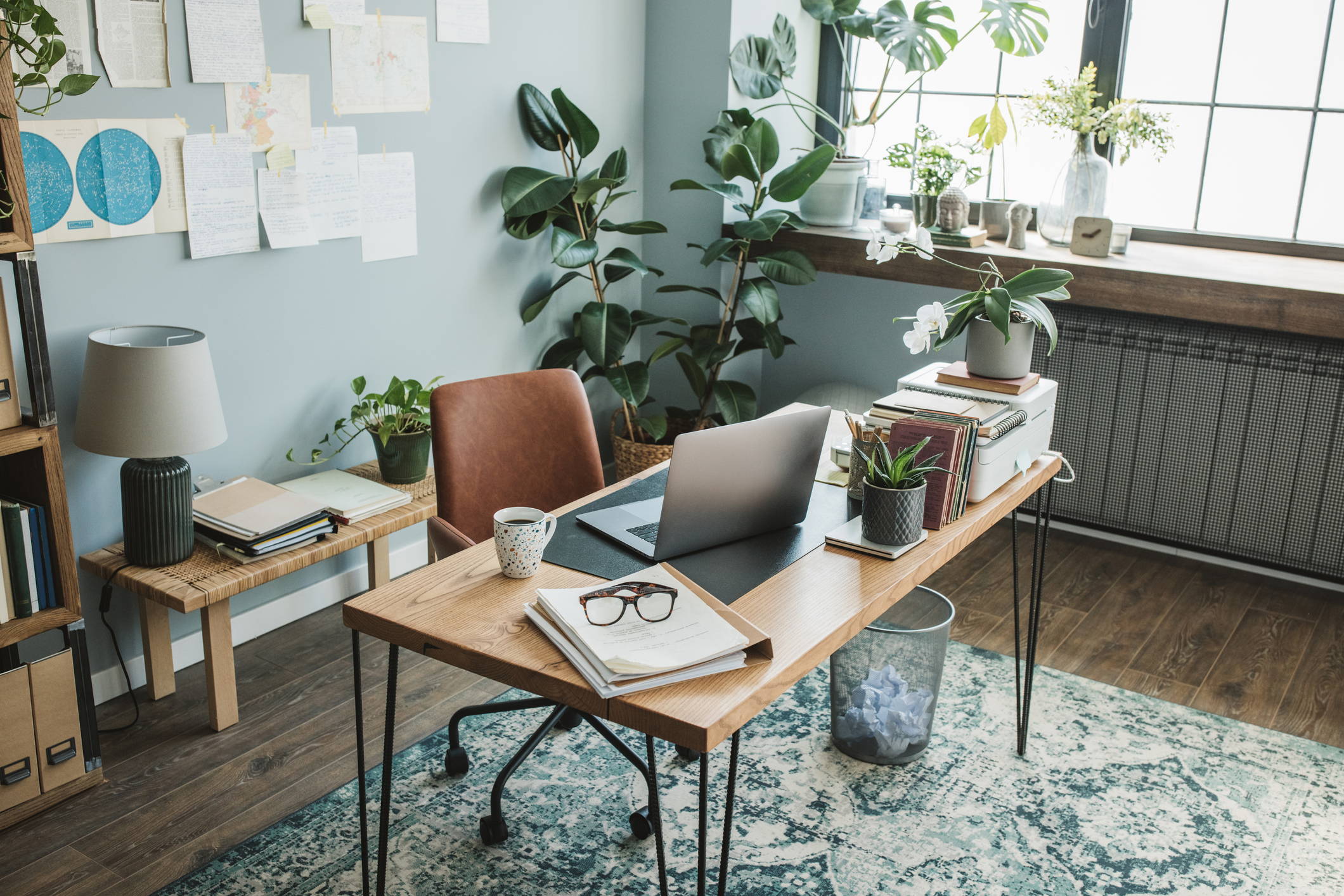 Indoor Plants in Office at The Good Plant Co