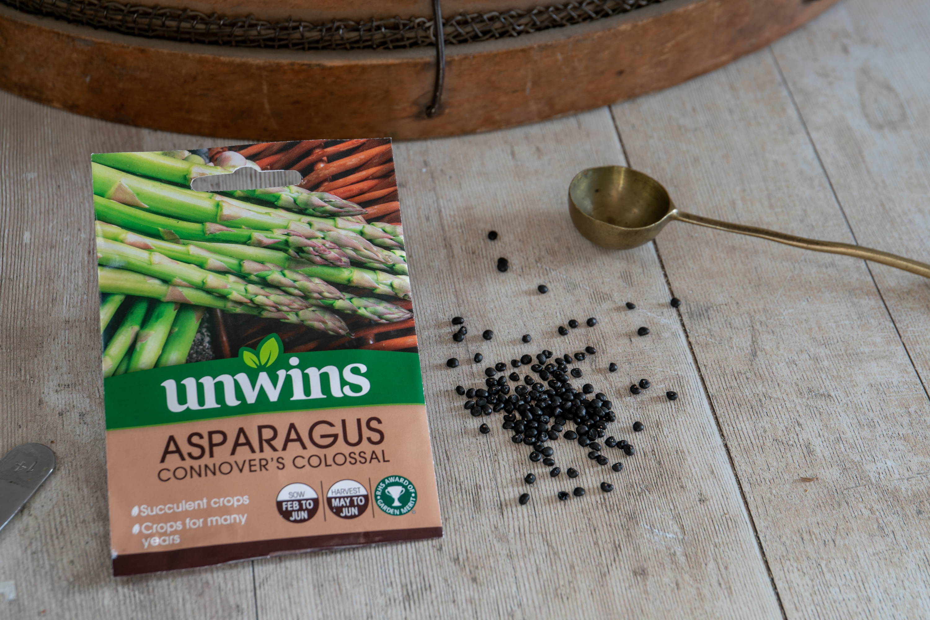 asparagus seeds