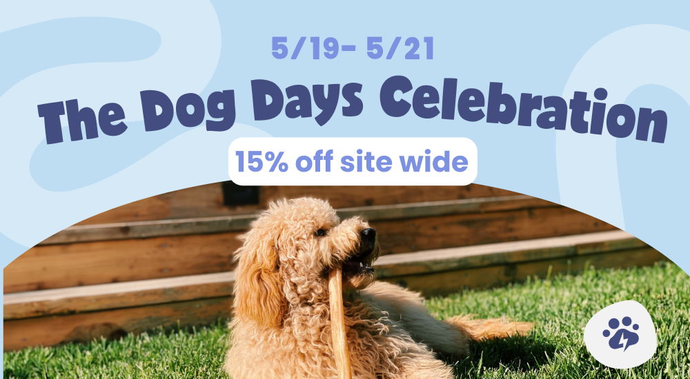 A Dog with Pawstruck Collagen Stick in their Mouth with the text, 'The Dog Days Celebration'