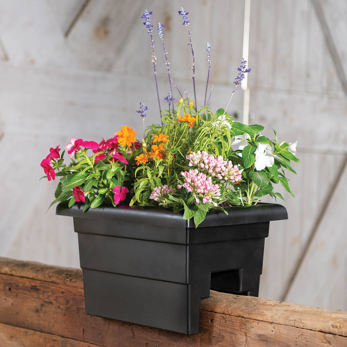 Black deck railing planter with orange, red, and pink flowers