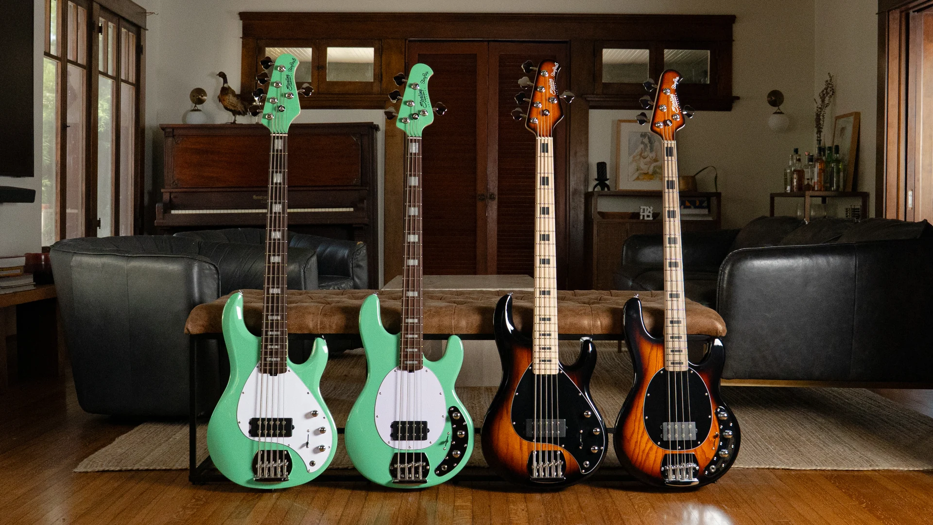 Four Sterling by Music Man SUB Series StingRay Plus bass guitars displayed on a wooden table in a cozy room.