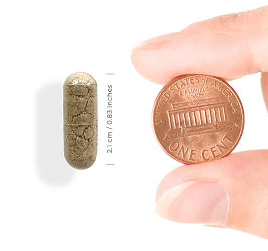 D3 Capsule Next To One Cent Piece