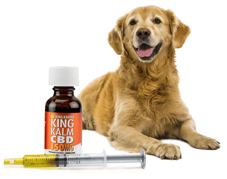 The Buzz on Cbd For Large Size Pet And Dog