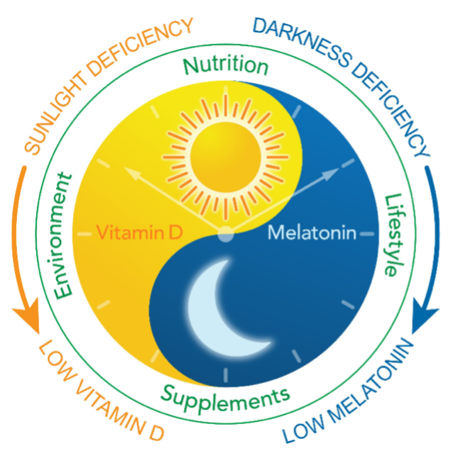 yin yang yellow and blue illustration of vitamin d and melatonin, sunlight deficiency, low vitamin d, darkness deficiency, low melatonin