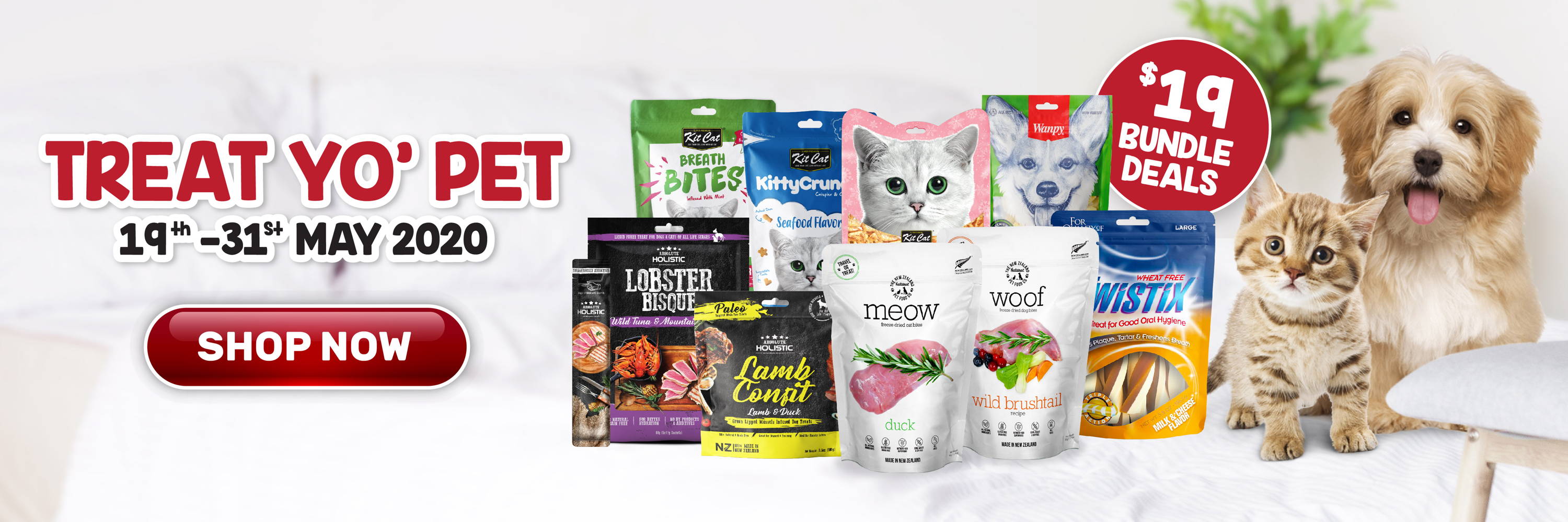 treat yo pet with b2k and wag & co $19 bundle dog and cat treats deal.
