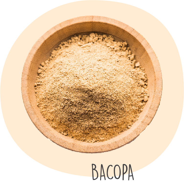 about bacopa monnieri 