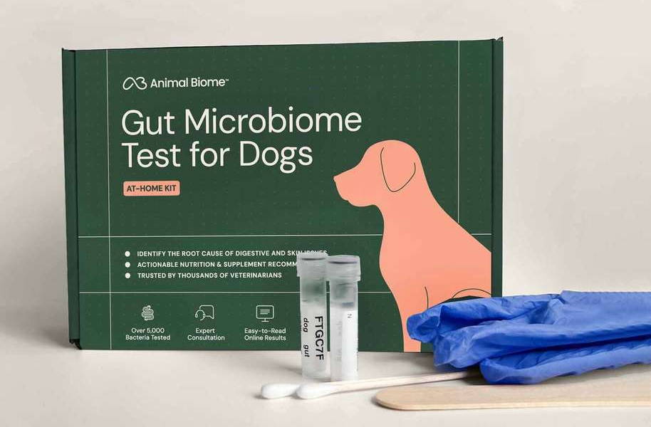 Gut microbiome test kit for dogs with gloves and sample collection tools.