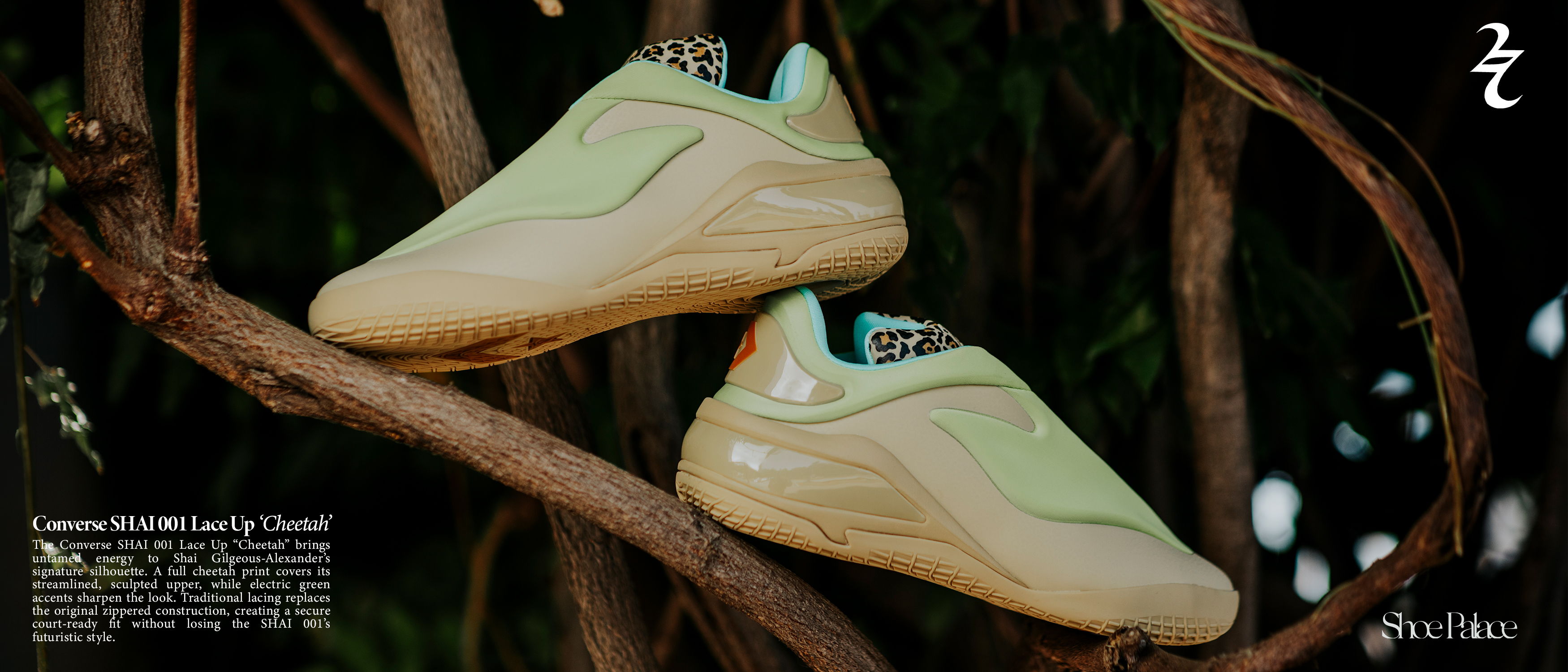 A pair of sneakers hanging from tree branches.