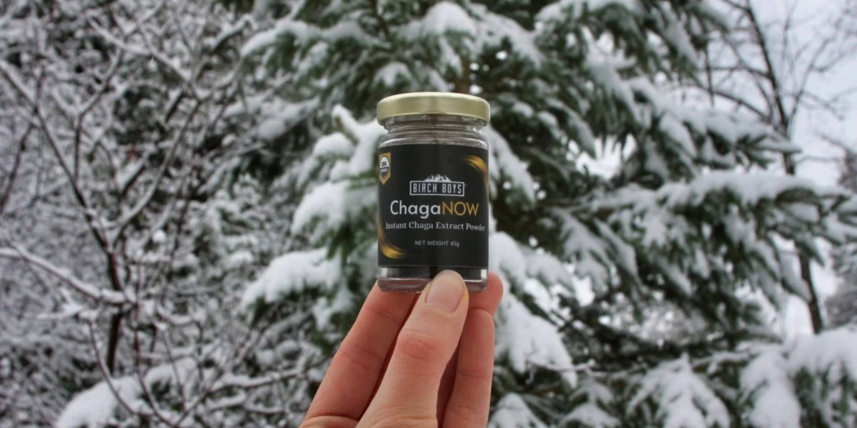 ChagaNOW Instant and Wild Chaga Extract Powder being held in front of a snowy scene
