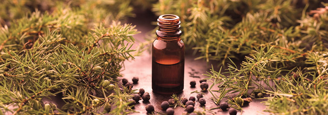 Brown glass bottle surrounded by greenery and scattered seeds.