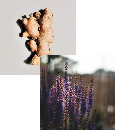 Ginger and Patchouli