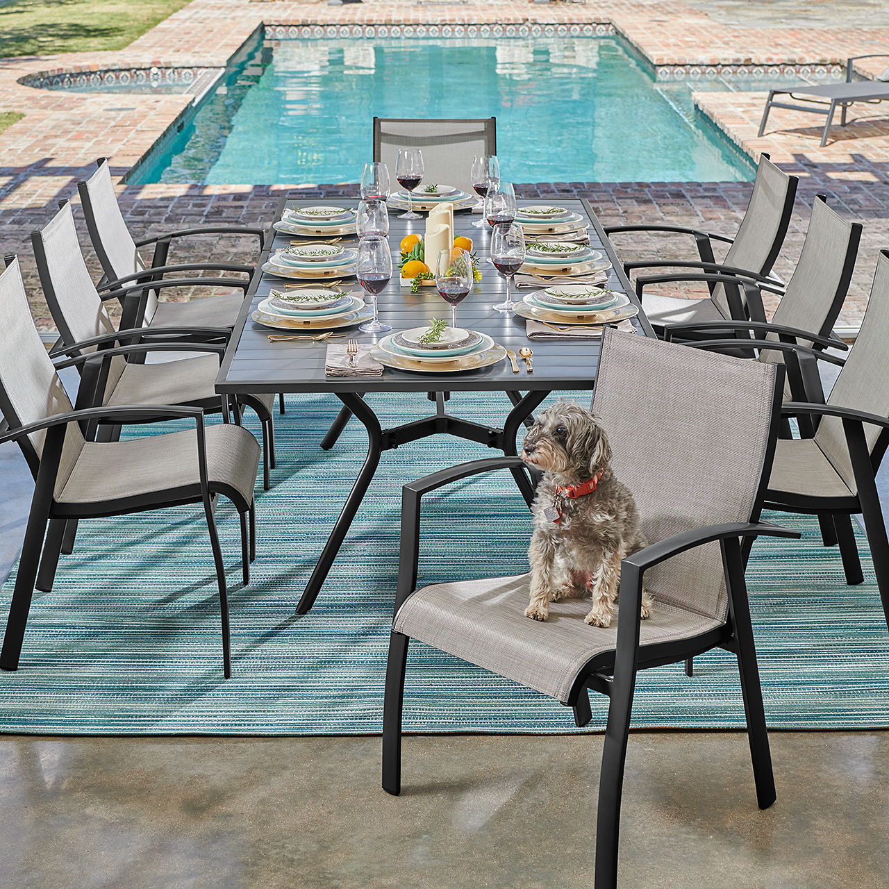 Table set for outdoor dining with a dog sitting on a chair.