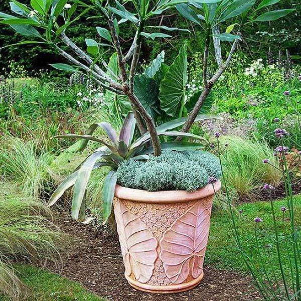 Italian Terracotta landcraft pot from Boxhill features intricate leaves and is the right size for trees.