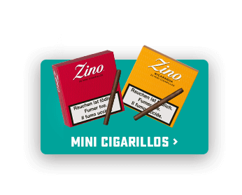 Eine rote Schachtel Zino Mini Cigarillos rot neben einer gelben Schachtel Zino Mini Cigarillos Nicaragua mit je einem Zigarillo obenauf.