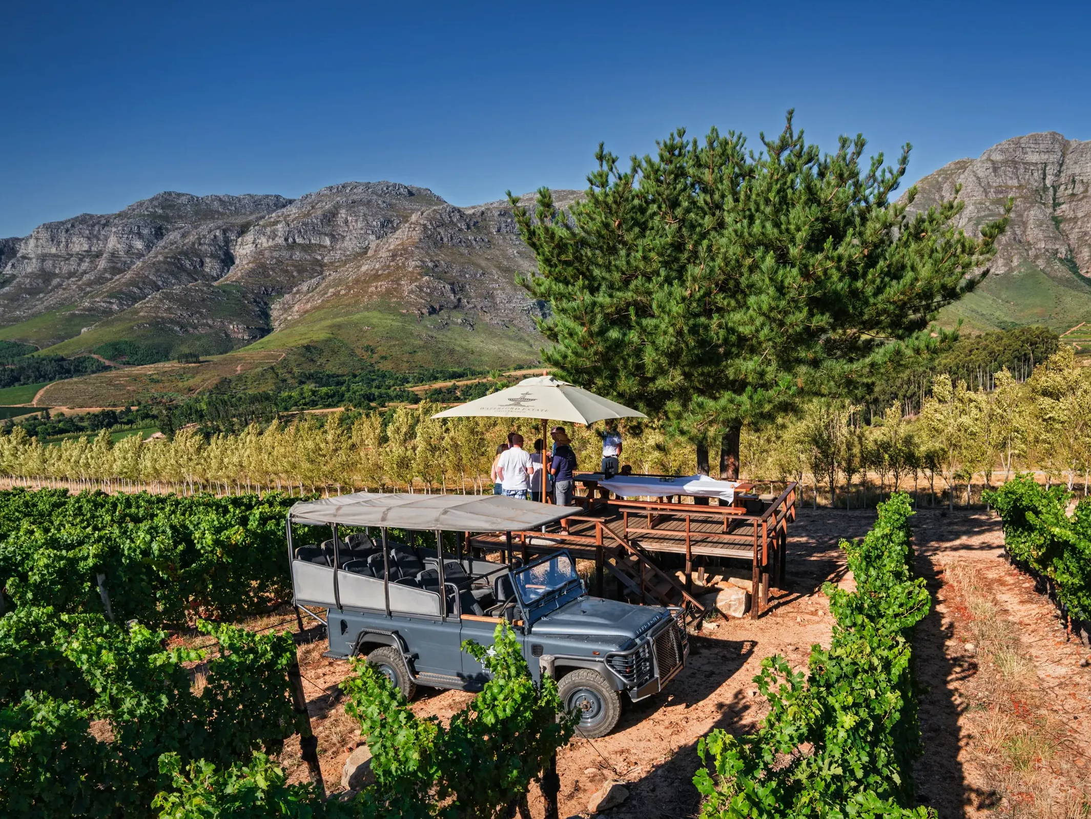 Wine Drive Safari