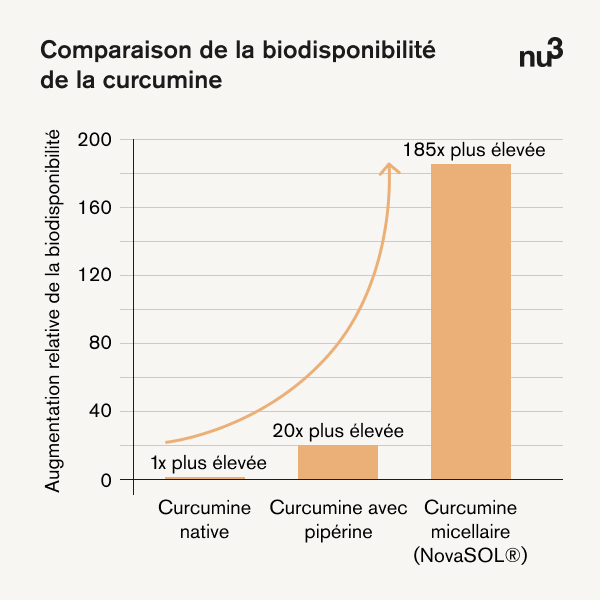Diagramme de la biodisponibilité de la curcumine