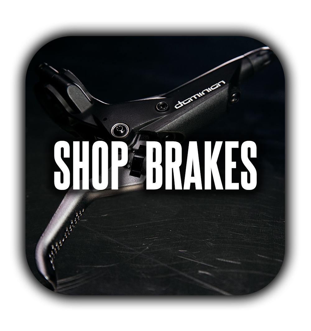 hayes dominion a4 brake lever