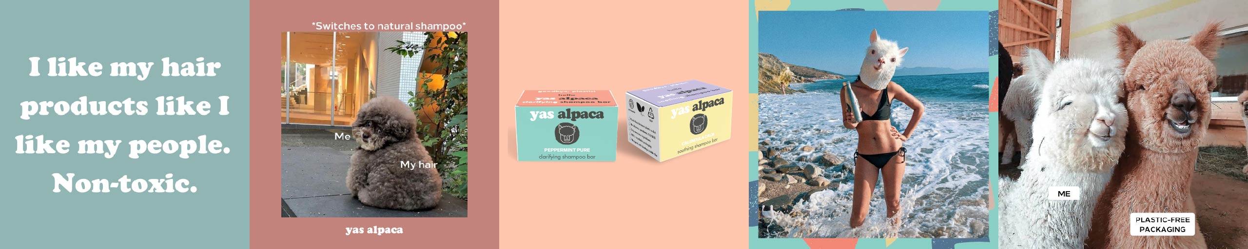 Five images from Yas Alpaca instagram grid